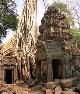 Angkor - chr�my v d�ungli