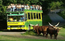 ikona Safari