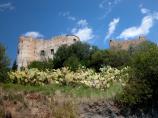 Santa Maria del Cedro - antick v u Scalea