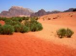 Wadi Rum - barvy pout