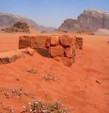 Wadi Rum - kvtinky v pouti