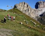 Dolomity - oveky na Bindelweg