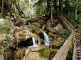 Medv�d� sout�ska